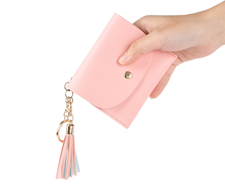 Coin Purse With Tassel Keychain Bag